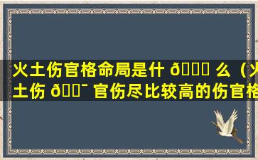 火土伤官格命局是什 🐕 么（火土伤 🐯 官伤尽比较高的伤官格）